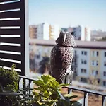 Modern ǀ Ac, Free Parking Apartamento *